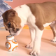 Illustration for article titled It’s puppies versus droids in this Force Friday clip